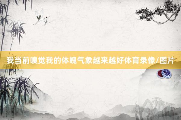 我当前嗅觉我的体魄气象越来越好体育录像/图片