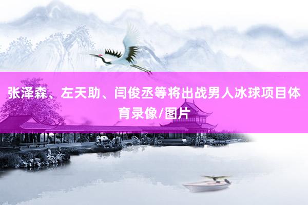 张泽森、左天助、闫俊丞等将出战男人冰球项目体育录像/图片
