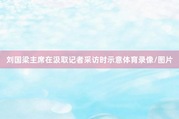 刘国梁主席在汲取记者采访时示意体育录像/图片