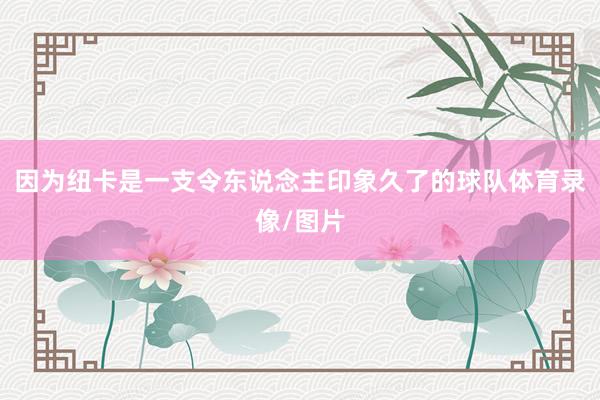 因为纽卡是一支令东说念主印象久了的球队体育录像/图片