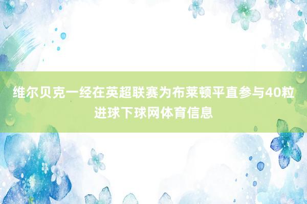 维尔贝克一经在英超联赛为布莱顿平直参与40粒进球下球网体育信息