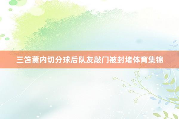 三笘薰内切分球后队友敲门被封堵体育集锦